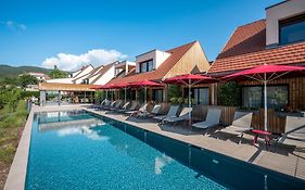 James Vignoble Hôtel - Eguisheim